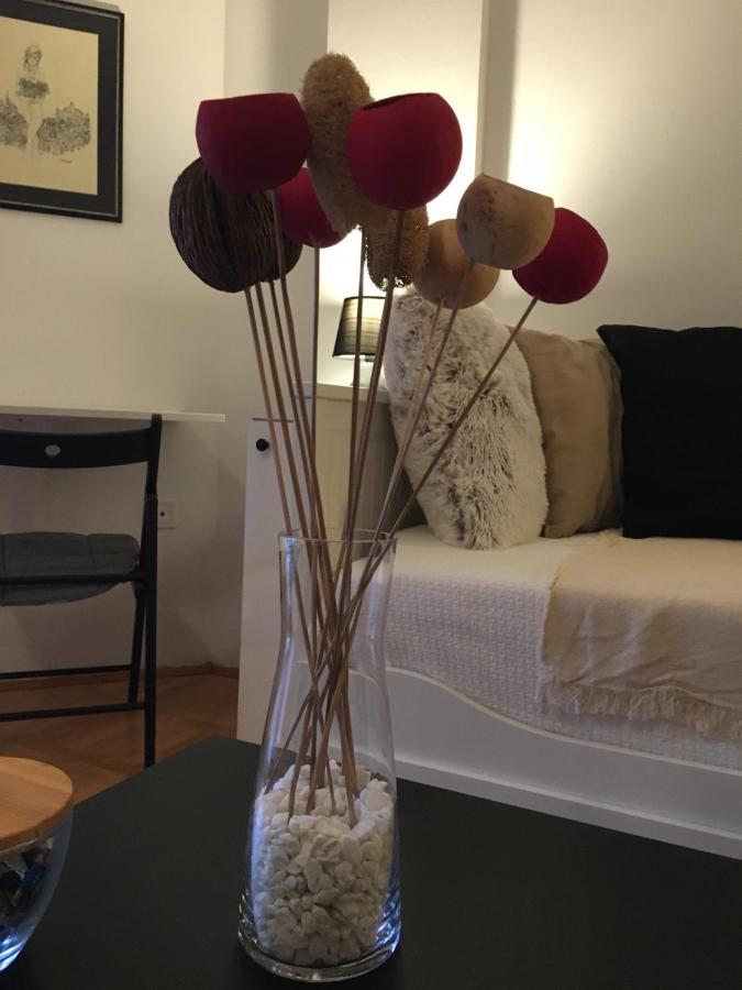 Studio 16 Novi Sad Luaran gambar